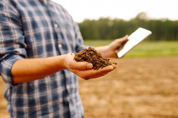 Agriculture, gardening or ecology concept. The farmer's hands collects the soil and checks its health before growing the crop. 