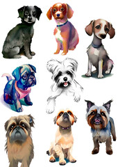 set with cute, small dogs, watercolor style on a white background