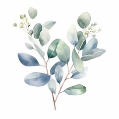 Watercolor Eucalyptus leaf frame with a boho or rustic style, single, white background. AI generated