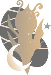 Background with fantasy composition with fairytale plant, star, moon and dark grey twilight backdrop. Noise textures.  Decorative card.