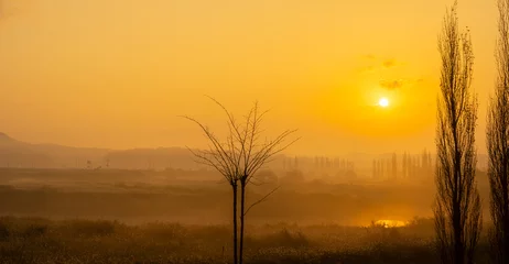 Poster 물 안개가 피어오르는 나주 영산강의 일출 풍경 © sephoto