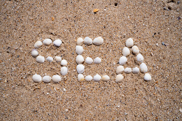 The word SEA made from seashells laid out on the sea sand of the Black Sea