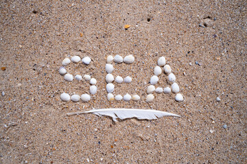 The word SEA made from seashells laid out with a seagull feather on the sea sand of the Black Sea