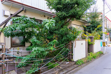 人、住まない、扉、壊れ、木、生い茂る、家、住まなくなる、空家、空家問題、社会問題、日本、町並み、住宅、街並み、住居、人口減少、相続問題、子、子孫、建物、玄関、風化