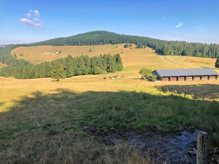 Meadow and forests on the Black Forest plateau. Blue sky over Black Forest.