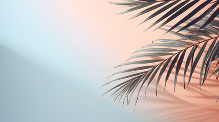 Soft pink background with a tin gradient and palm leaves with blank space for text or object...
