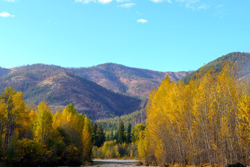Fototapeta premium Methow River Autumn