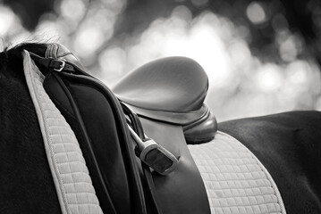 black and white image of English saddle - obrazy, fototapety, plakaty