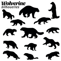 Set of wolverine animal silhouette vector illustrations