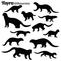 Vector illustration of silhouettes of tayra animal set