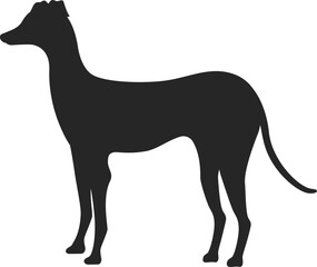 イタリアングレーハウンドのシルエットのイラスト