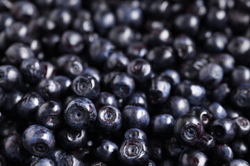 Many tasty fresh bilberries as background, closeup view