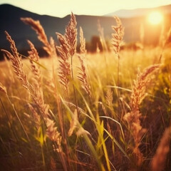 Obraz premium Wild grass