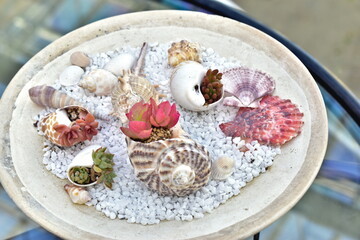 淡路島　貝殻　植物園　淡路夢舞台　兵庫