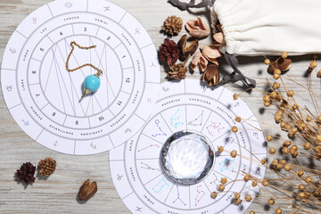Astrology prediction. Zodiac wheels, pendulum, gemstone and pouch with dry flowers on wooden table, flat lay