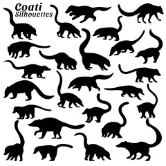 Vector illustration of silhouettes of coati animal big set