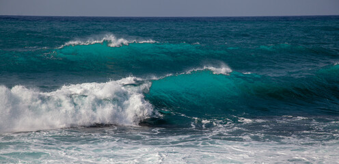 奄美の海の色。