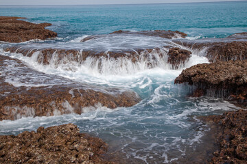 サンゴ礁の海の造形。