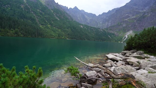 4K Long Cinematic Shot of Carphatian Mountain Lake background static video perfect for creating moods and ambiance of nature