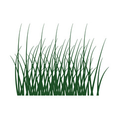 Grass icon design, illustration design