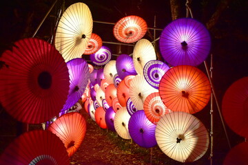 鳥取　大山　大山寺　大山の大献灯
