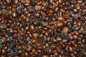 coffee beans close up