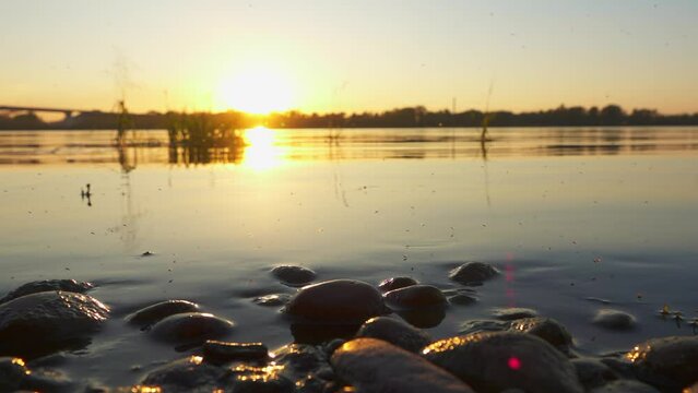 Sunset on the river with stones and flying midges in slow motion