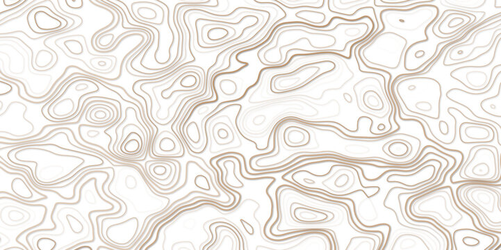 Abstract topographic contours map background .Topographic background and texture, monochrome image. Topography and geography map grid abstract backdrop. Topography map