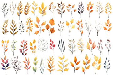 Watercolor set of fall branches on white background