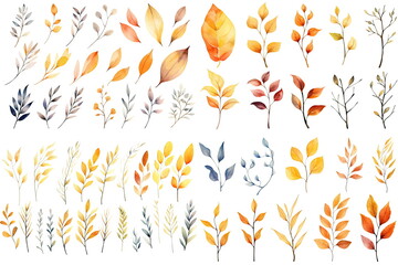 Watercolor set of fall branches on white background