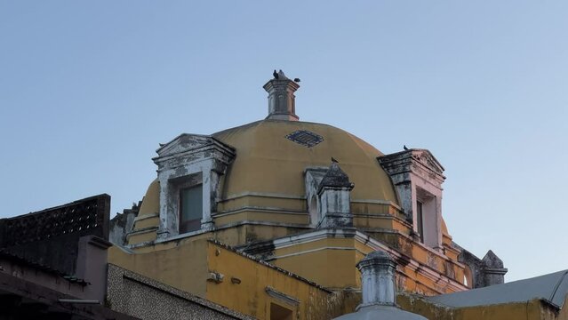 zopilote en el techo. 