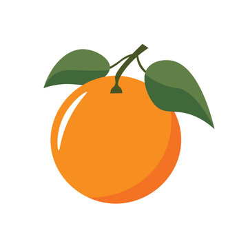 Simple orange fruit flat icon vector image, isolated on white background