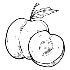 pear handdrawn 