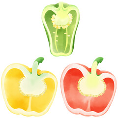 半分にカットされたピーマンとパプリカのイラストセット／Illustration set of bell peppers and paprika cut in half