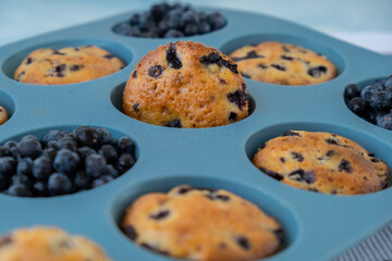 Fresh baked blueberry muffins. Tasty Sweet cupcake. Pastry homemade dessert. Berry pie in silicone muffin tin. Healthy vegan cupcakes with organic berries Baked in reusable silicon forms