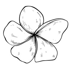 flower spa icon handdrawn 