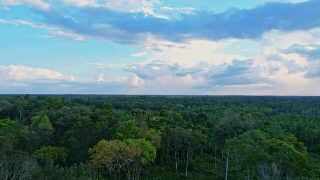 Amazon rainforest is a vast natural resource - aerial flyover