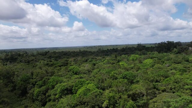 Ascending aerial view of the Amazon rainforest