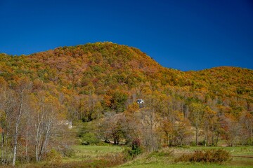 Fototapeta premium autumn home