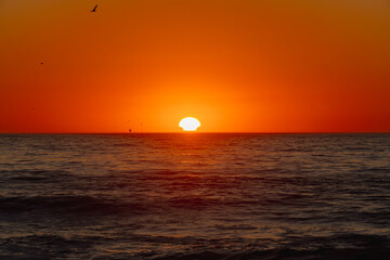 Amazing sunset with pelicans flying 