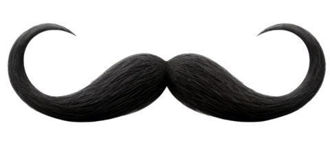 Black moustache isolated on isolated background
