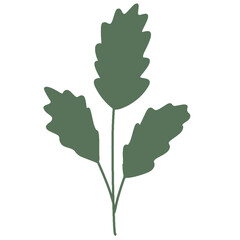 Botanical planlt