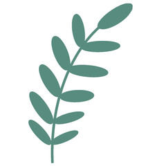 Botanical planlt