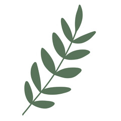 Botanical planlt