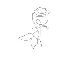 Isolated beautiful rose flower hand drawn outline continuous vector icon design 