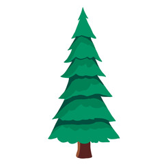 christmas tree isolated on white