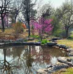Obraz premium spring reflection in the park