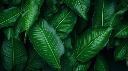 lush tropical green leaf texture - vibrant nature background