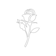 Continuous rose flower Hand drawn outline vector drawing 