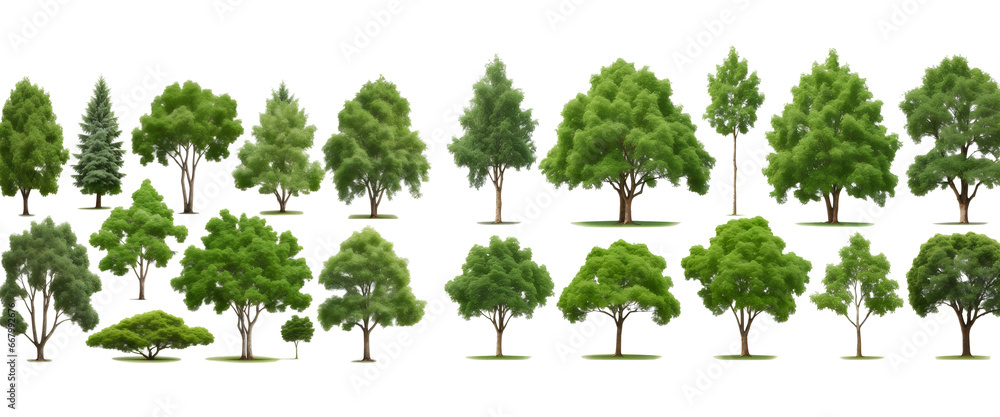 Poster set of green trees isolated on transparent background